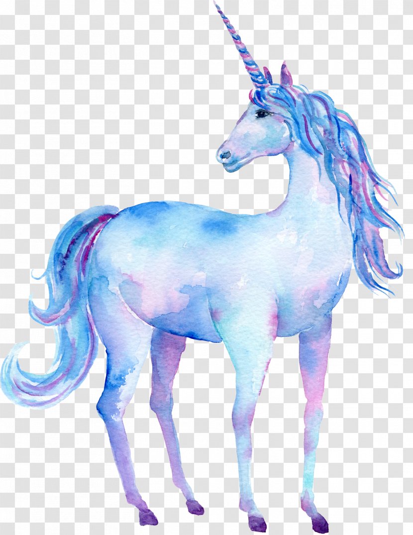 Unicorn Watercolor Painting Art Poster - Hand Drawn Decorations Transparent PNG