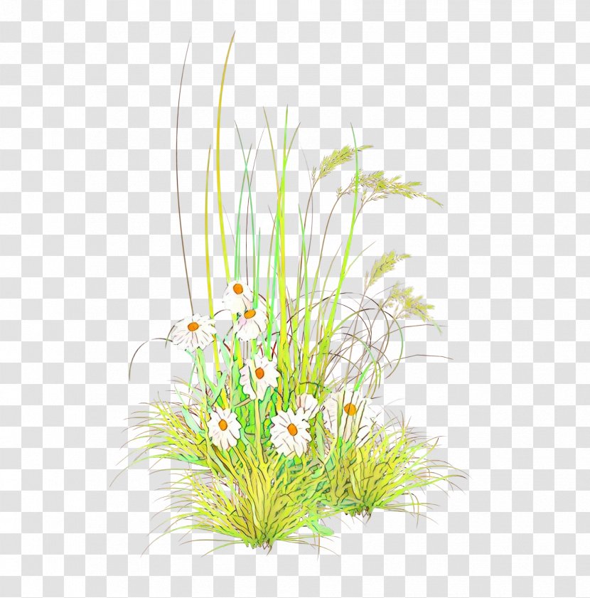 Artificial Flower - Cartoon - Sedge Family Wildflower Transparent PNG