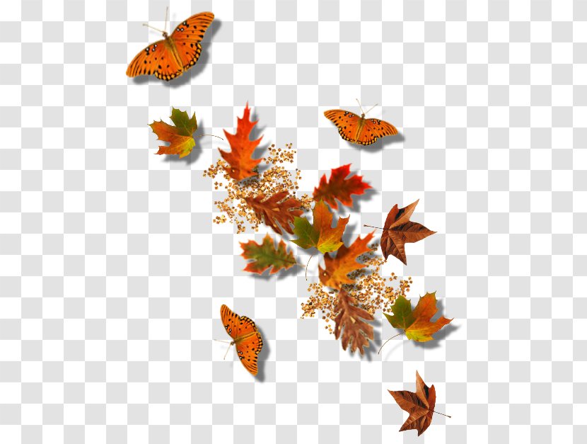 Autumn Picture Frame Clip Art - Leaf - Falling Leaves And Butterflies Transparent PNG