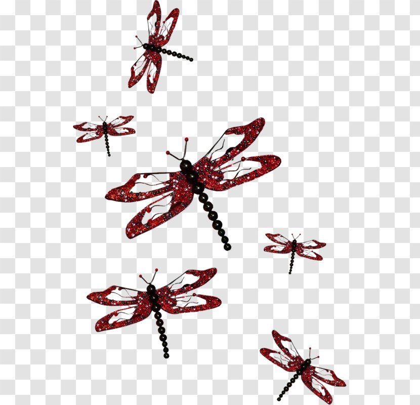 Insect Dragonfly Google Images - Hand-painted Transparent PNG