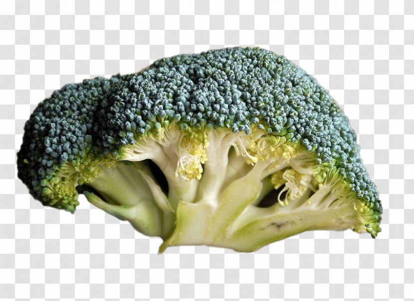 Broccoli Organic Food Raw Foodism Eating - Diet Transparent PNG