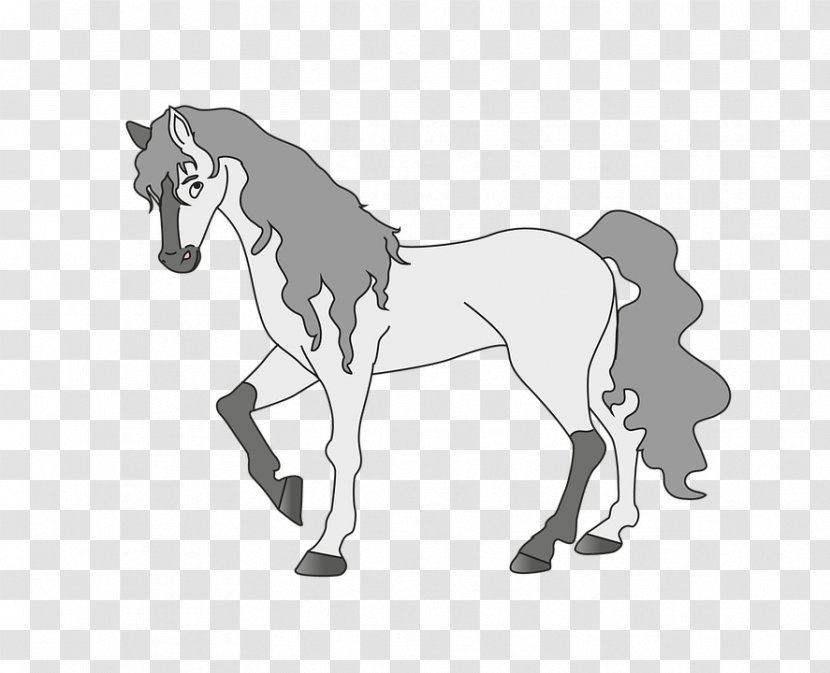 Mule Foal Stallion Mustang Pony - Neck Transparent PNG