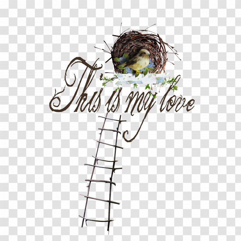 Download Clip Art - Edible Birds Nest - Ladders Transparent PNG