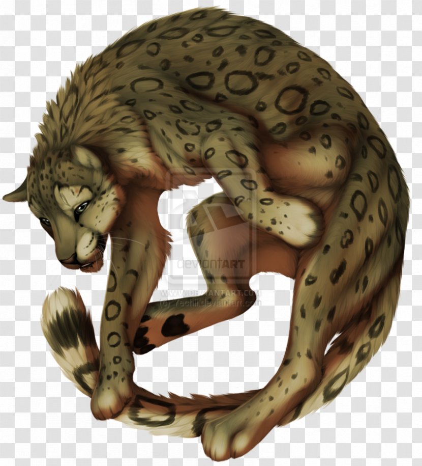 Cheetah Cat Felidae Meow Leopard - Snow Transparent PNG