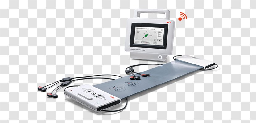 Body Composition Seca GmbH Measurement Bioelectrical Impedance Analysis Medicine - Muscle - Anatomical Position Transparent PNG
