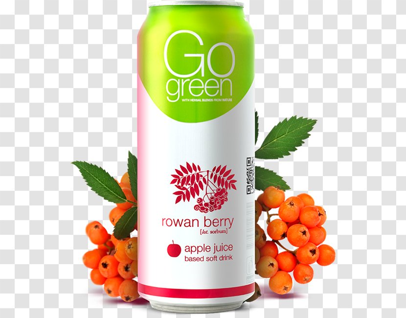 Apple Juice Gubernija Drink Gaivusis Gėrimas - Flavor Transparent PNG