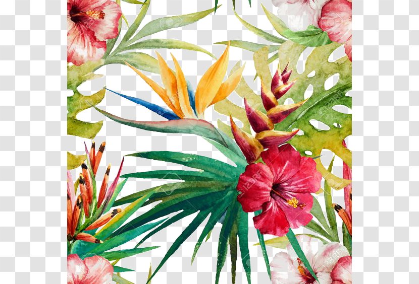 Royalty-free Watercolor Painting Stock Illustration - Tropics - Plant Transparent PNG