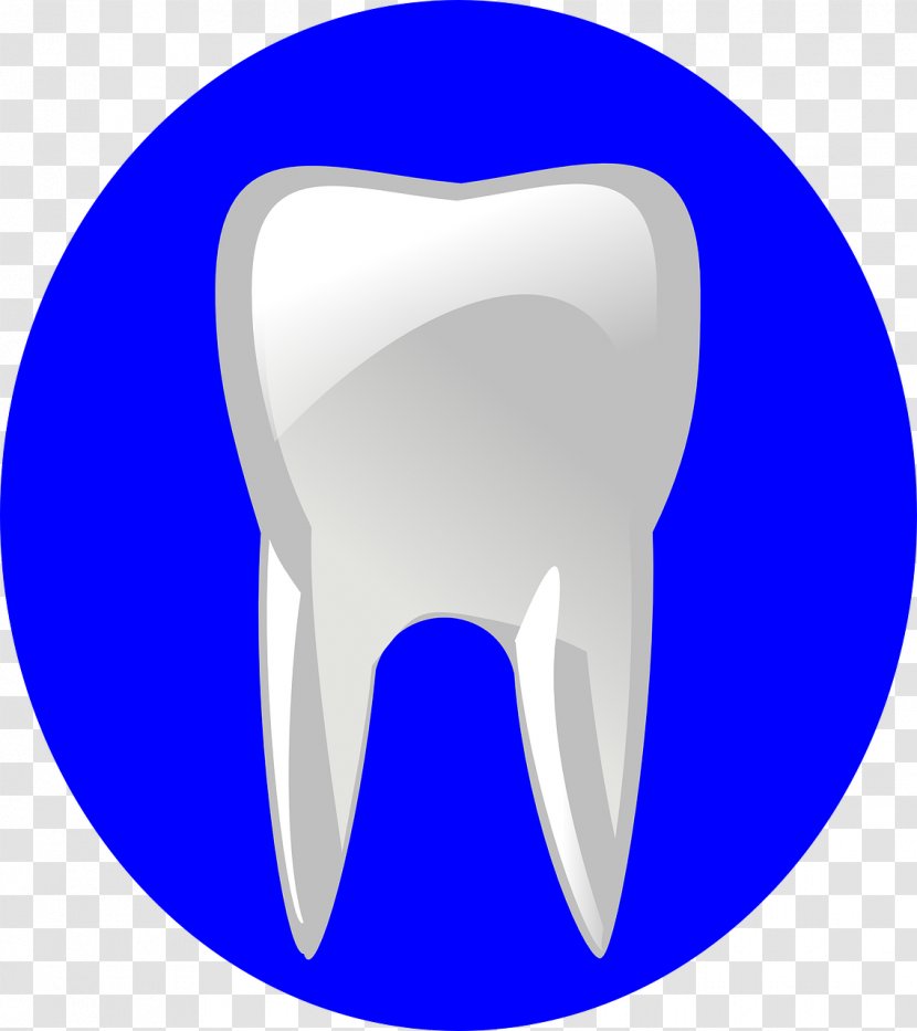 Dentistry Human Tooth Clip Art - Cartoon - Teeth Transparent PNG