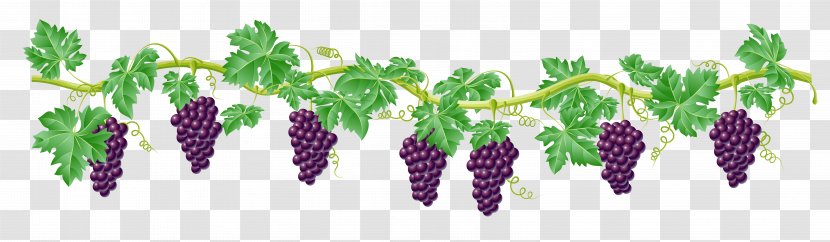 Kyoho Grape Vine Clip Art - Leaf Transparent PNG