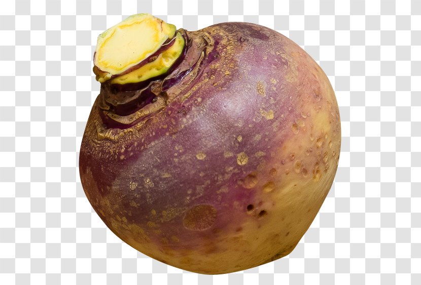 Turnip Rutabaga Daikon - Food Transparent PNG