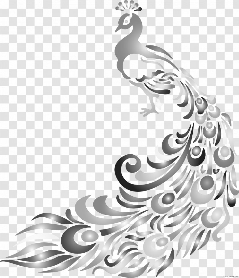 Clip Art Peafowl Free Content Illustration Vector Graphics - Black And White - Bird Transparent PNG