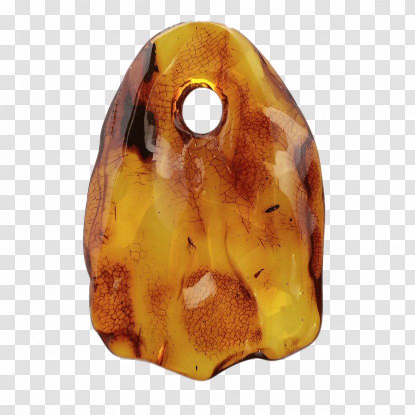 Baltic Amber Charms & Pendants Jewellery Fossil - Inclusion Transparent PNG