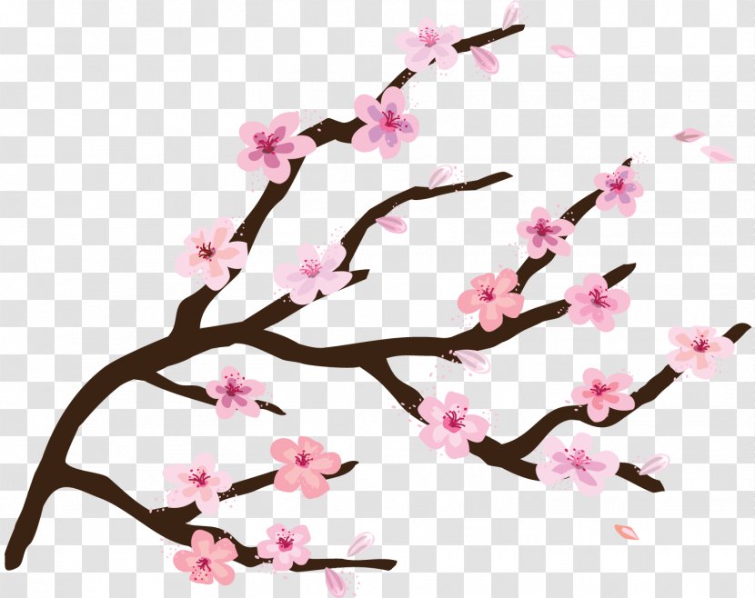 Camden National Cherry Blossom Festival - Spring - BLOSSOM Transparent PNG