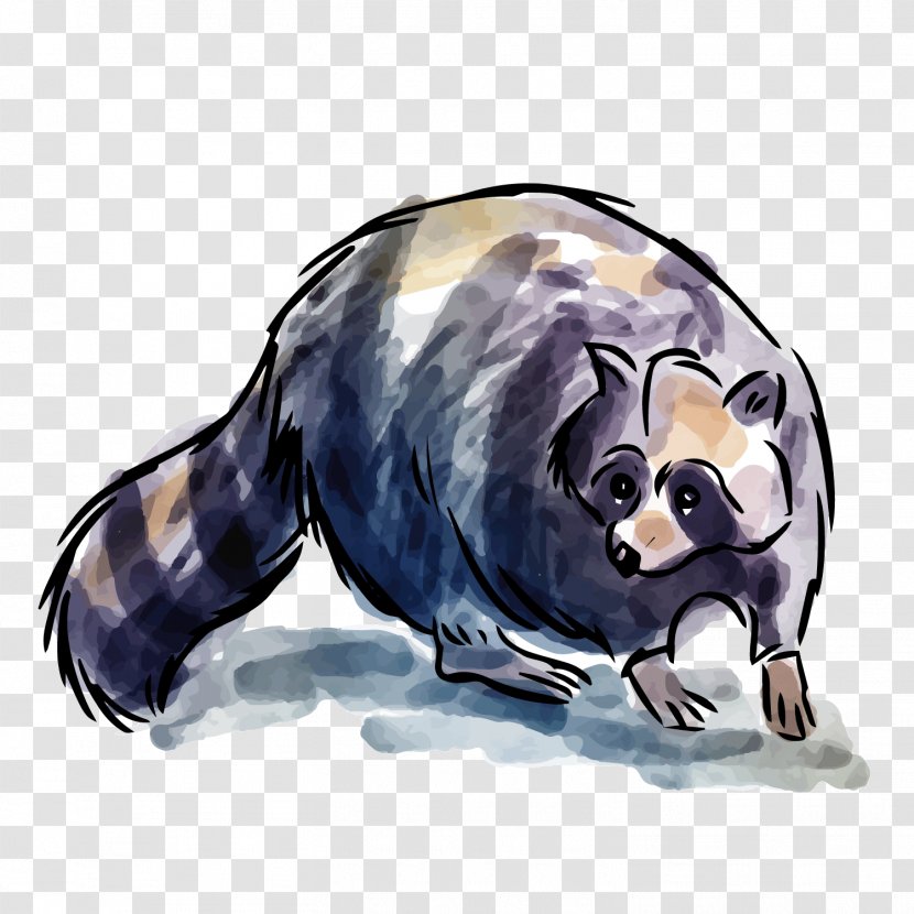 Raccoon Animal Adobe Illustrator - Procyonidae - Black Brown Transparent PNG