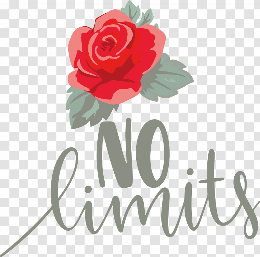 No Limits Dream Future Transparent PNG