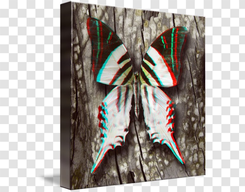 Moth Symmetry - Moths And Butterflies - Glossy Butterflys Transparent PNG