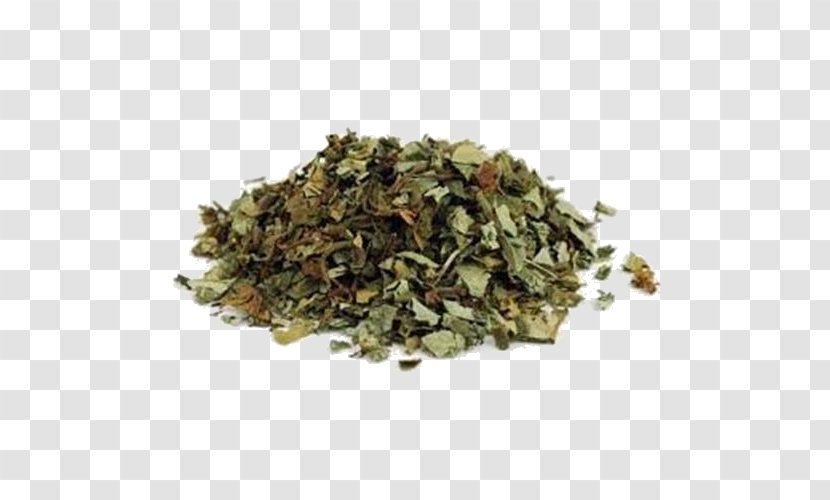 Lungworts Herb Hoodoo Hyssop Liquorice - Officinalis - Leaf Transparent PNG