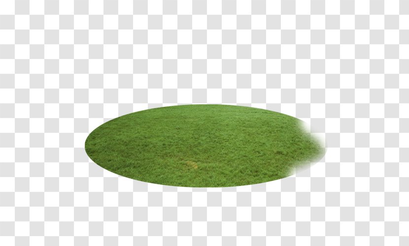 Green - Grass - FIG Round Wheat Field Transparent PNG