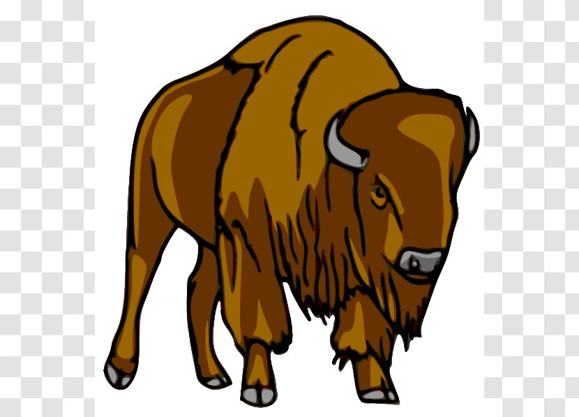 American Bison Bear Clip Art - Mammal - Cartoon Cliparts Transparent PNG