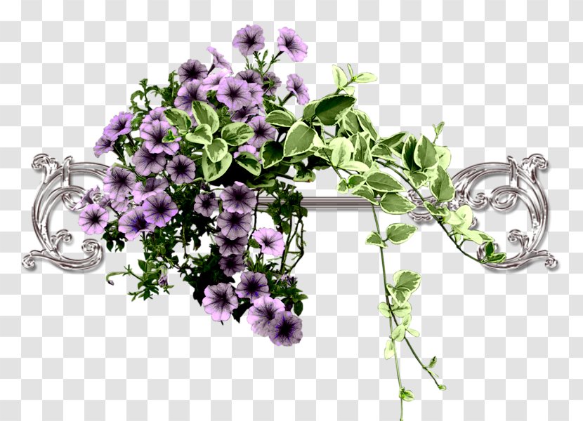 Albom Clip Art - Flora - Flowering Plant Transparent PNG