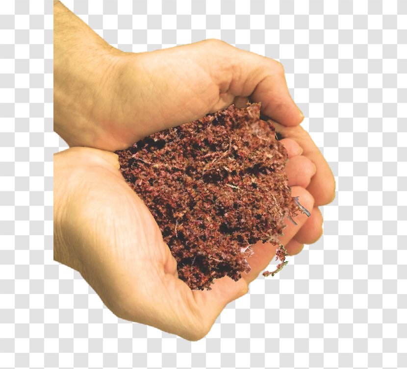 Coconut Product Soil Coir Husk - Tree - Holding Hands With Dirt Plant Transparent PNG