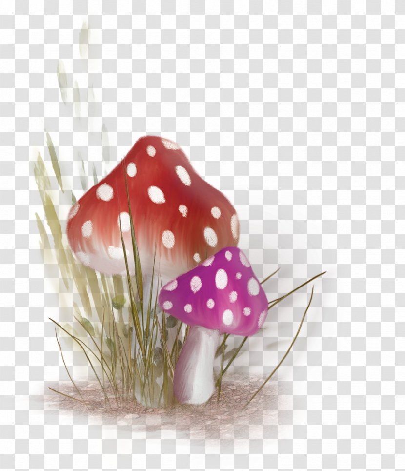 Mushroom Pixel Clip Art - Fairy - Red Fresh Decoration Pattern Transparent PNG