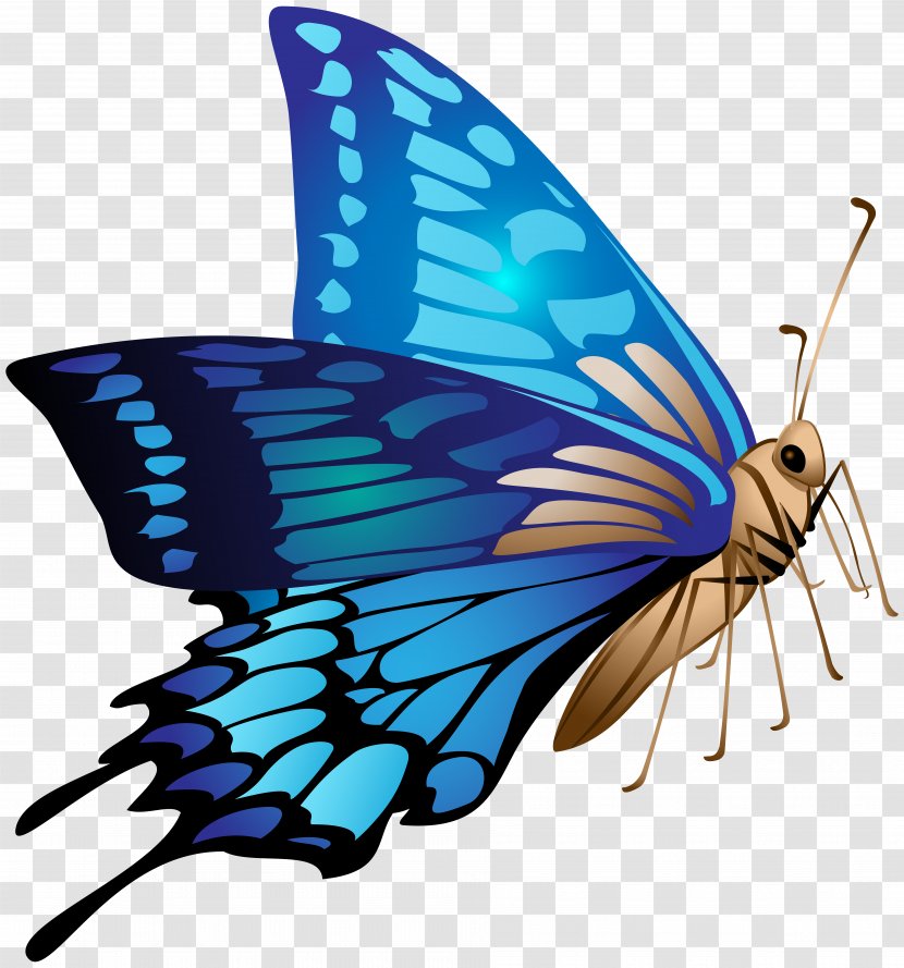 Monarch Butterfly Clip Art Image - Painting Transparent PNG