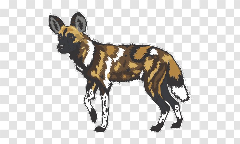 African Wild Dog Dhole Common Warthog - Wildlife Transparent PNG