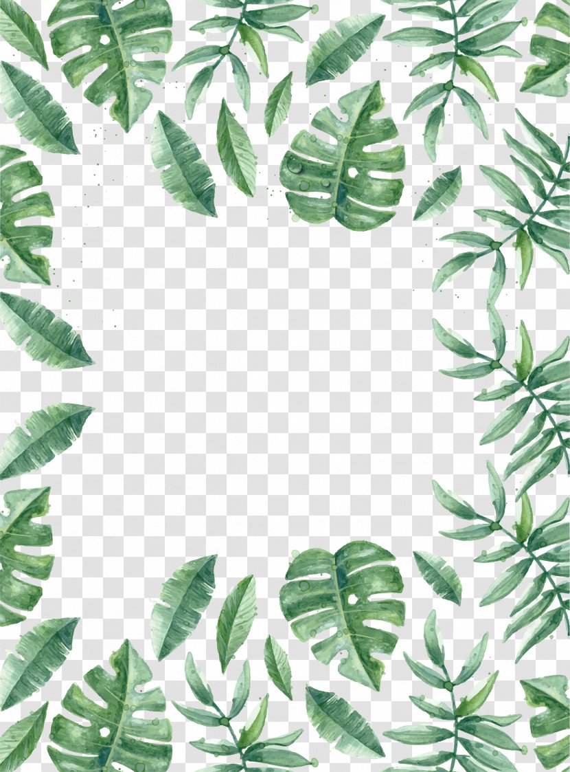 Leaf - Organism - Summer Fresh Plant Vector Border Transparent PNG
