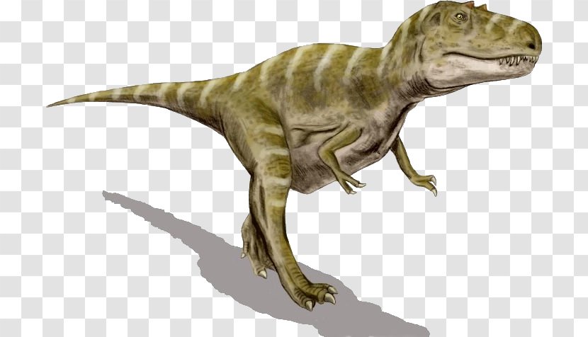 Gorgosaurus Albertosaurus Tyrannosaurus Agujaceratops Dinosaur - Extinction Transparent PNG