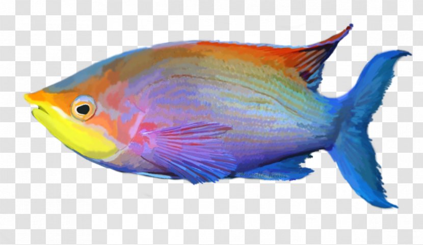 Tropical Fish Aquariums - Coral Reef - Exotic Transparent PNG