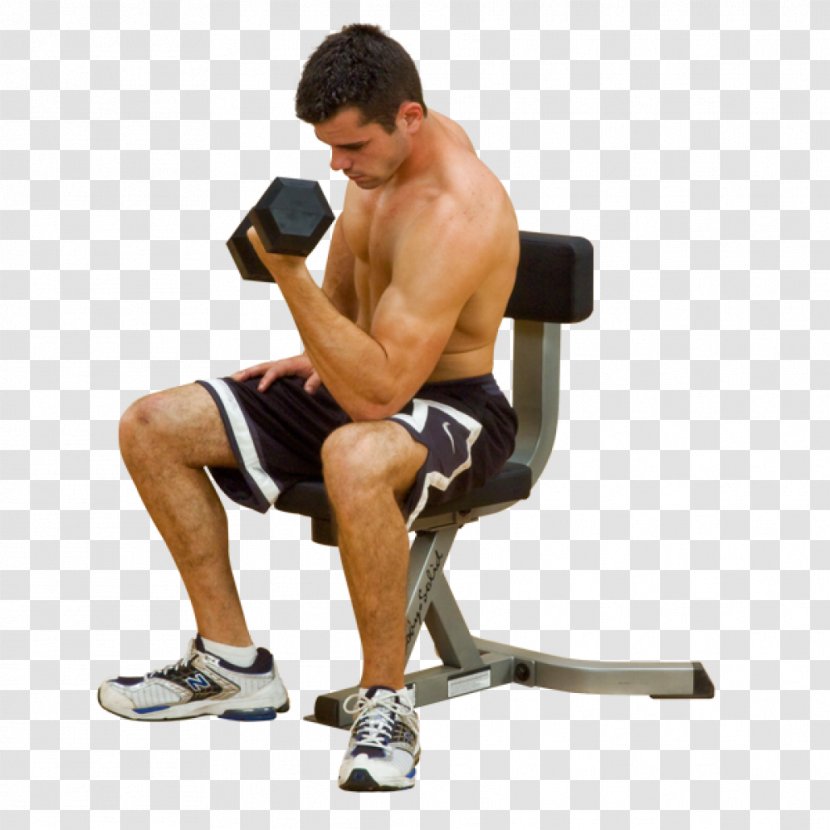 Bench Human Body Triceps Brachii Muscle Physical Exercise Wrist Curl - Frame - Dumbbells Transparent PNG