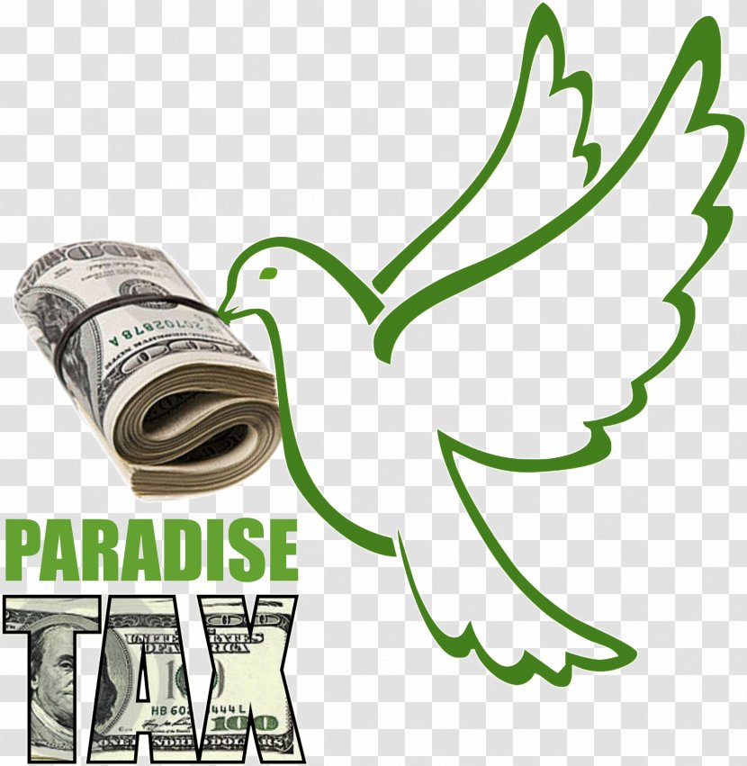 Columbidae Doves As Symbols Peace Clip Art - Tax Transparent PNG
