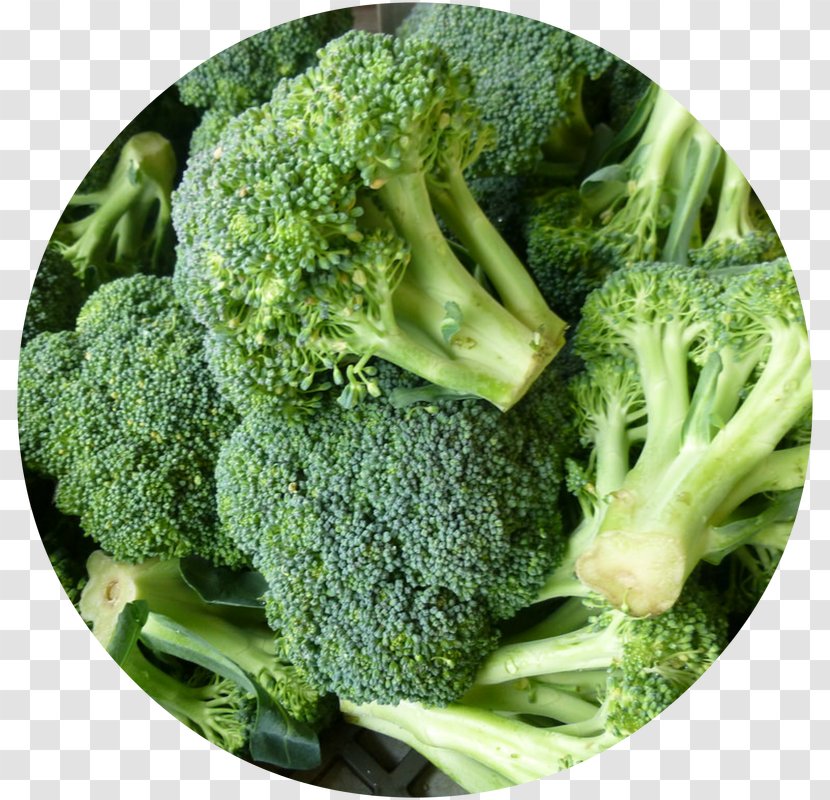 Broccoli Vegetable Food Nutrition Facts Label Health - Leaf Transparent PNG