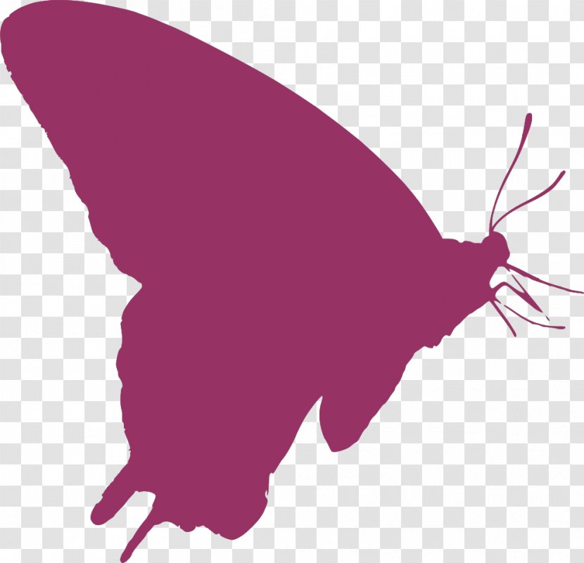 Butterfly User Clip Art - Purple - Hummingbird Silhouette Transparent PNG