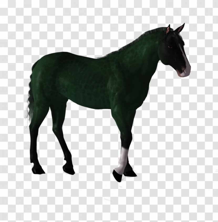 Stock Photography Horse Pony Transparent PNG