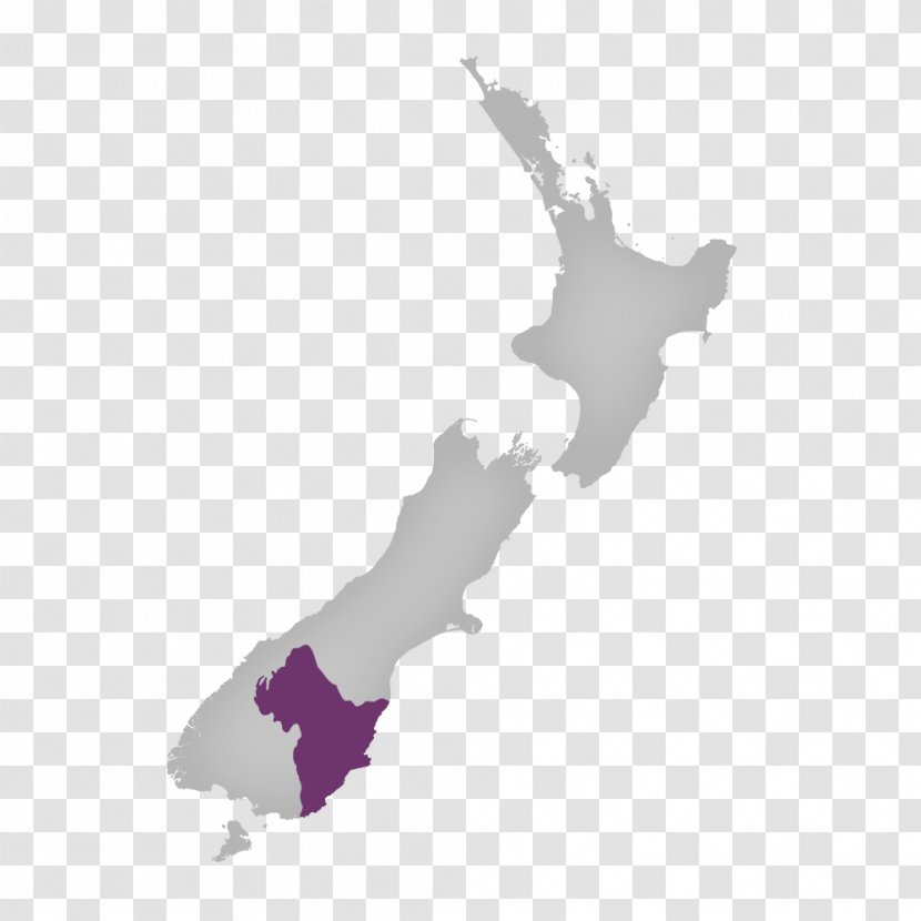 New Zealand Map Stock Photography Transparent PNG