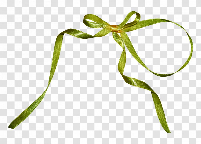 Silk Ribbon Green Clip Art - Plant Stem - Bow Transparent PNG