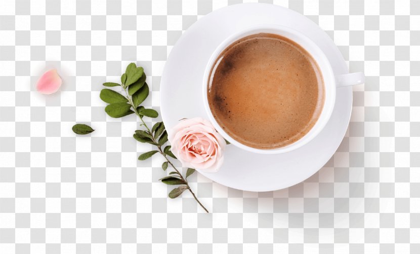 Espresso Ristretto Dandelion Coffee Cup Mate Cocido Transparent PNG