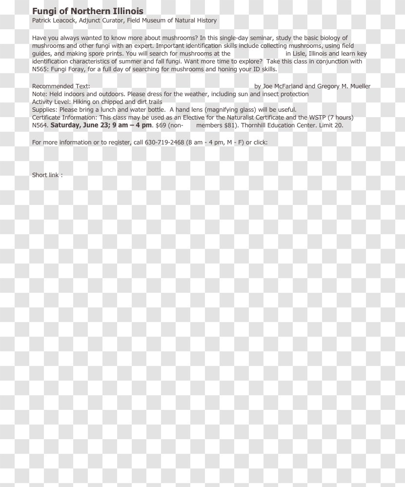 Document Line Angle - Paper Transparent PNG