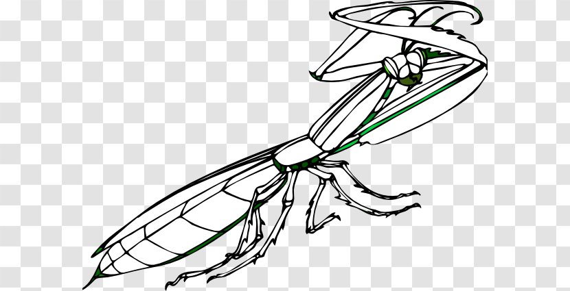 Insect Clip Art European Mantis Openclipart - Automotive Design - Praying Transparent PNG