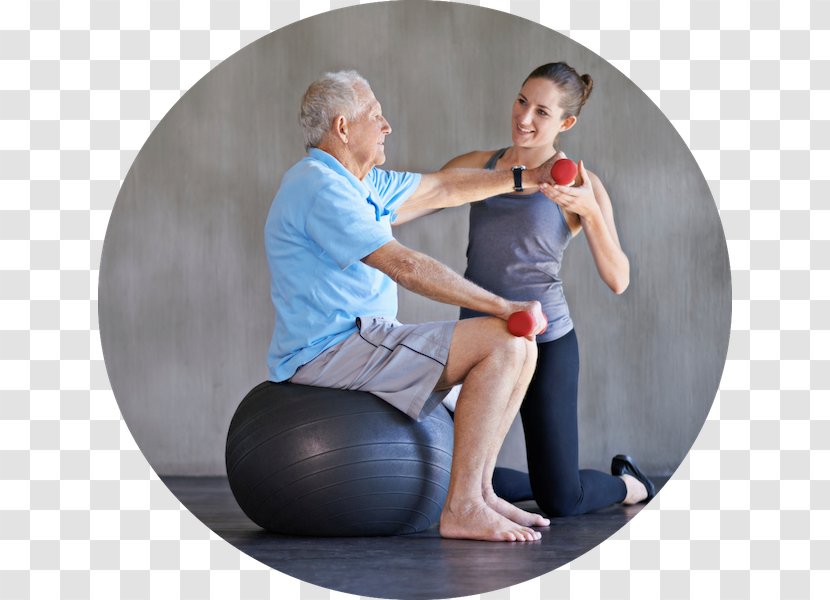 Physical Therapy Medicine And Rehabilitation Occupational - Health Care Transparent PNG