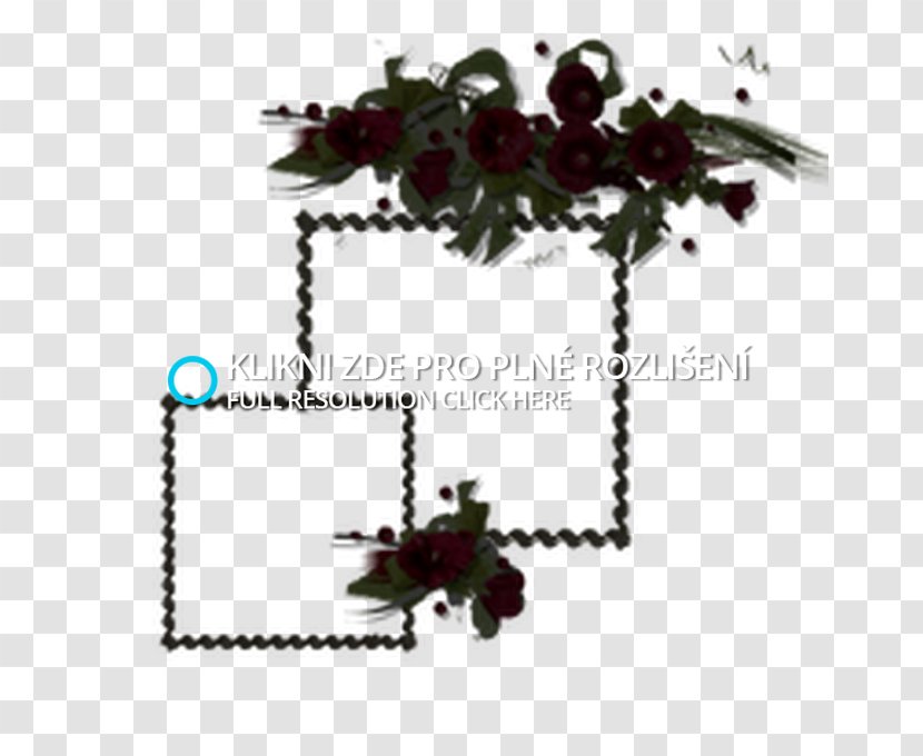 Flowering Plant Tree - Flower Transparent PNG