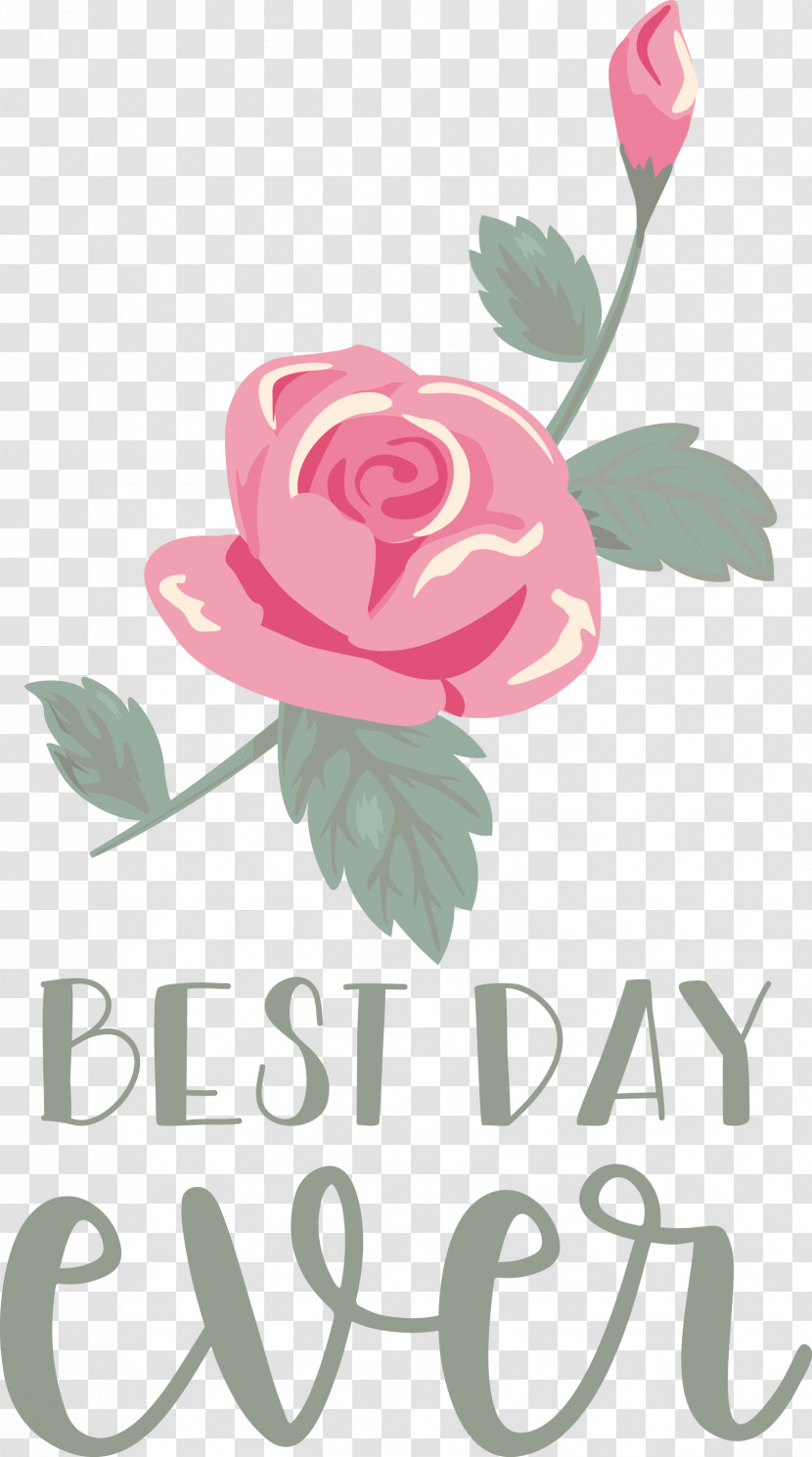 Best Day Ever Wedding Transparent PNG