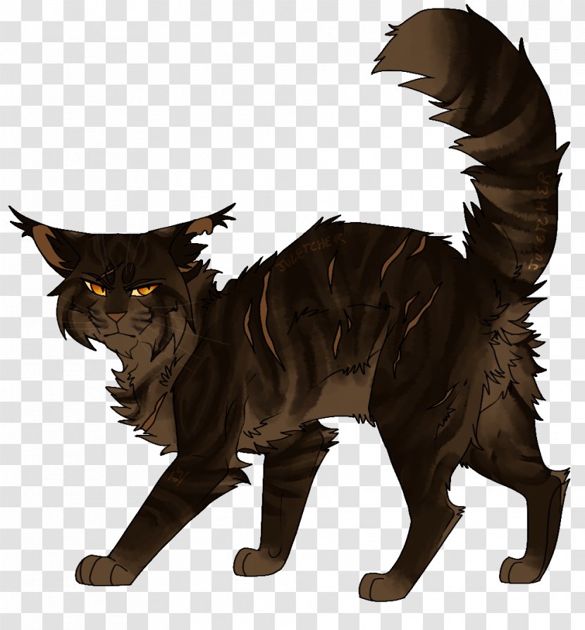 DeviantArt Cat Whiskers Artist - Carnivoran Transparent PNG