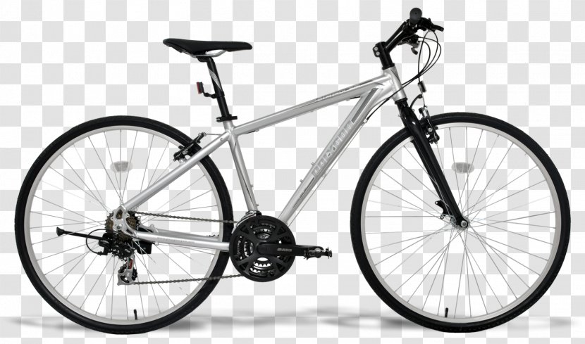 Bicycle Shop Bianchi Cycling Mountain Bike - Handlebar - Polygon Transparent PNG