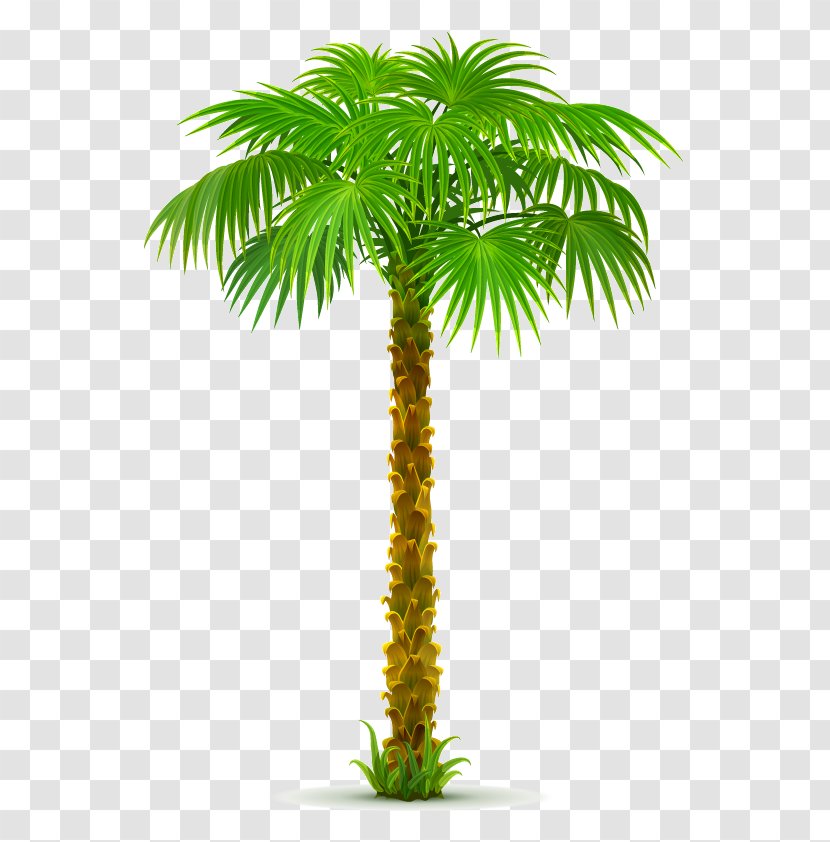 Clip Art Palm Trees California - Grass - Tree Transparent PNG