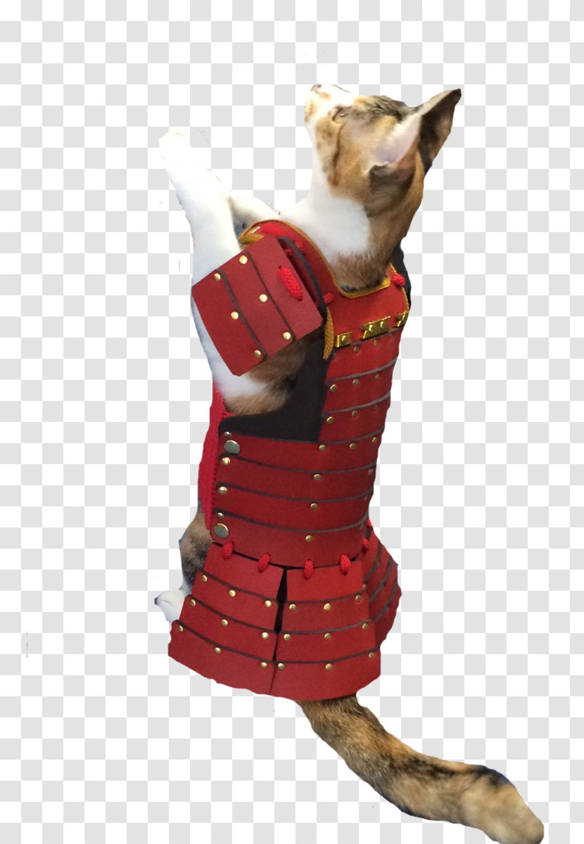 Cat Pet Japanese Armour Dog Transparent PNG