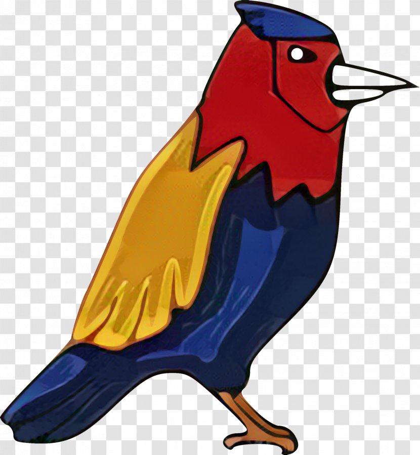 Parrot Budgerigar Bird Macaw Clip Art - Greater Vasa - Psittaculidae Transparent PNG