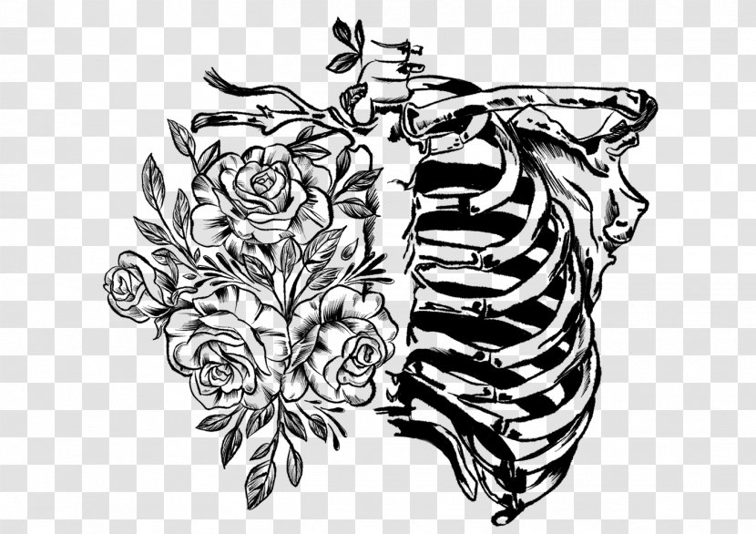 Anatomical Drawings Digital Art Illustration - Nature Transparent PNG